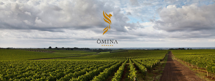 ÔMINA ROMANA